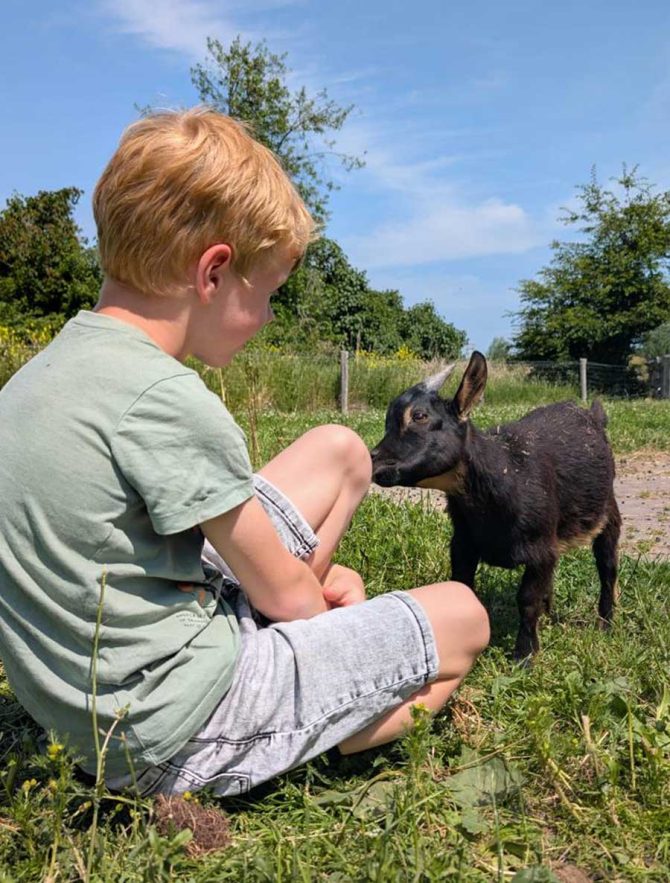 Ons-onderwijs-homepage-02